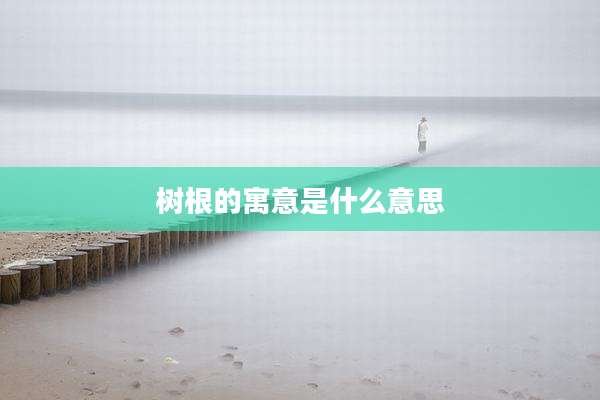 树根的寓意是什么意思