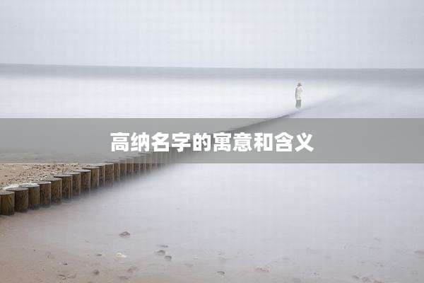 高纳名字的寓意和含义
