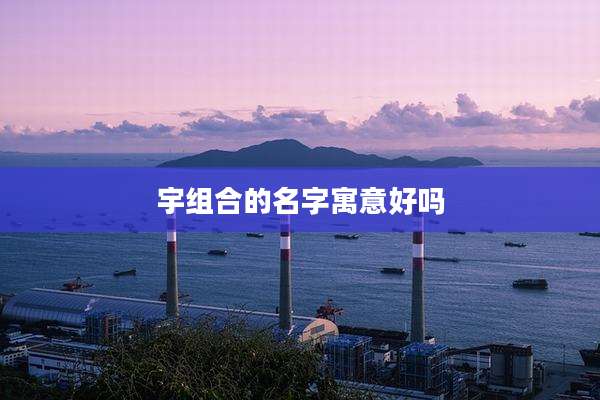 宇组合的名字寓意好吗