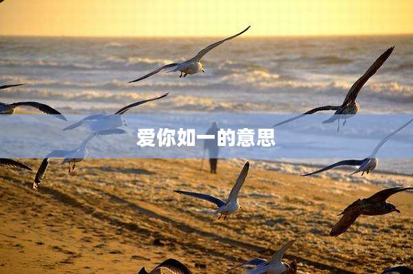 爱你如一的意思