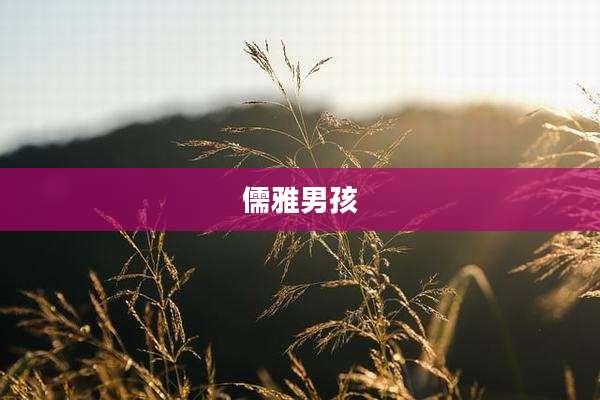 儒雅男孩