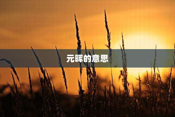 元晖的意思