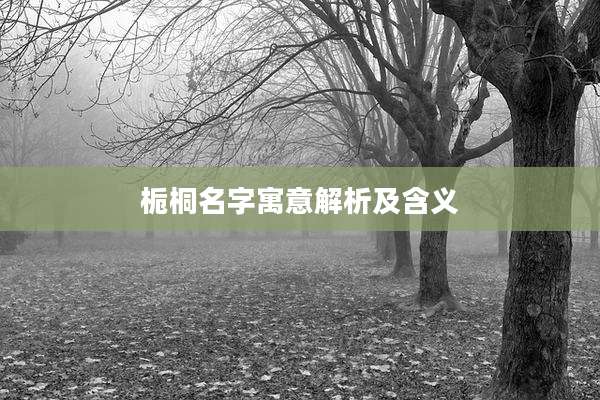 栀桐名字寓意解析及含义
