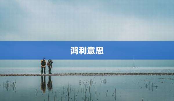鸿利意思