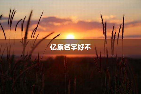 亿康名字好不