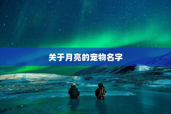 关于月亮的宠物名字