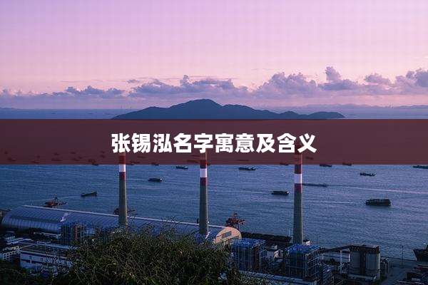 张锡泓名字寓意及含义