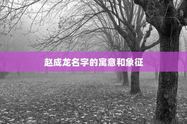 赵成龙名字的寓意和象征