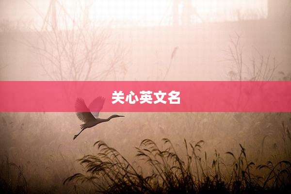 关心英文名