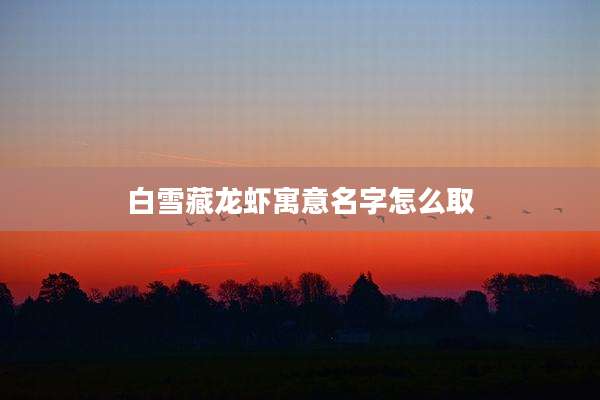白雪藏龙虾寓意名字怎么取