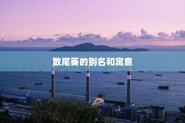 散尾葵的别名和寓意