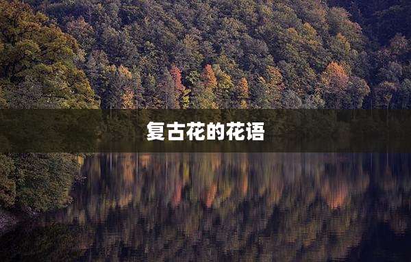 复古花的花语