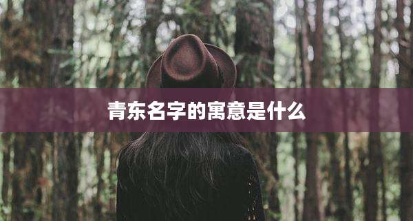 青东名字的寓意是什么