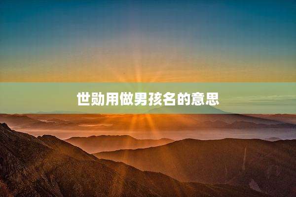世勋用做男孩名的意思