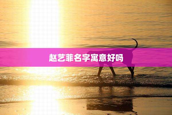 赵艺菲名字寓意好吗