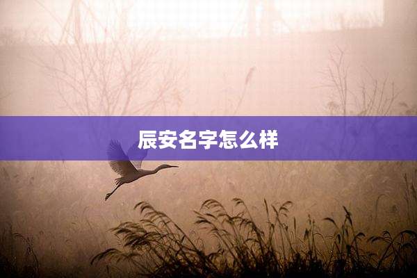 辰安名字怎么样