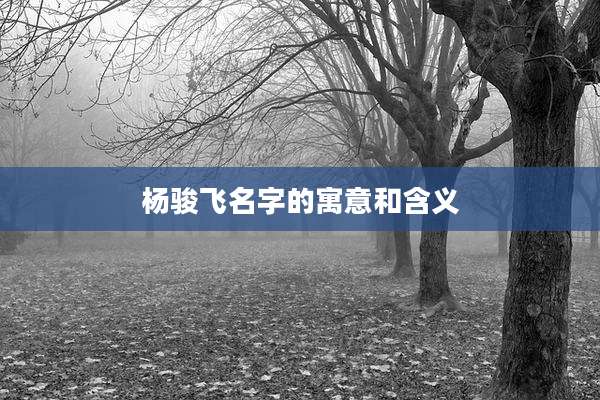 杨骏飞名字的寓意和含义