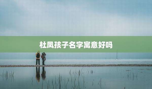 杜凤孩子名字寓意好吗