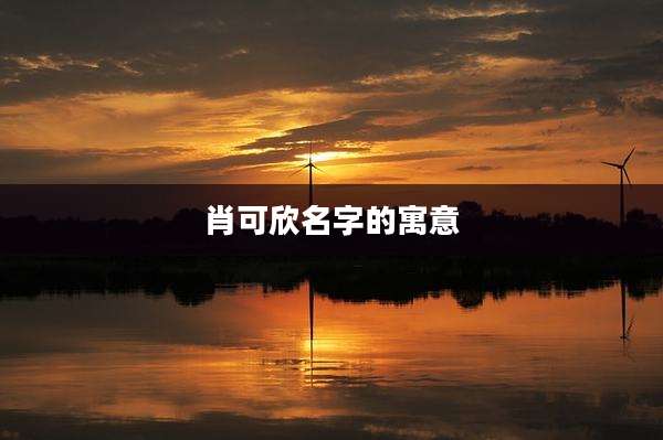 肖可欣名字的寓意