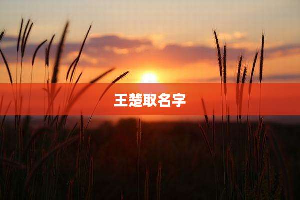 王楚取名字