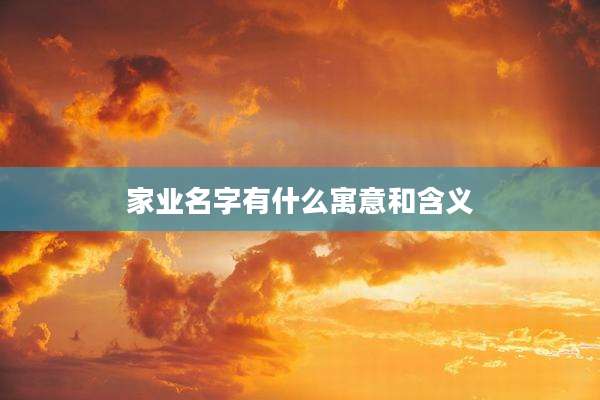 家业名字有什么寓意和含义