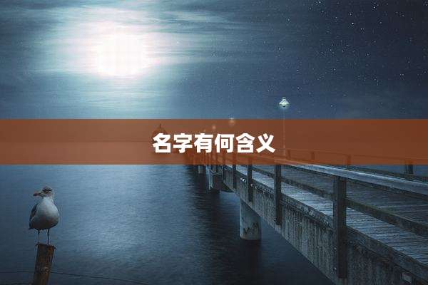 名字有何含义