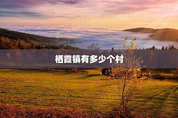 栖霞镇有多少个村