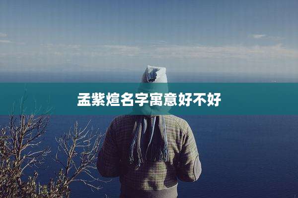 孟紫煊名字寓意好不好