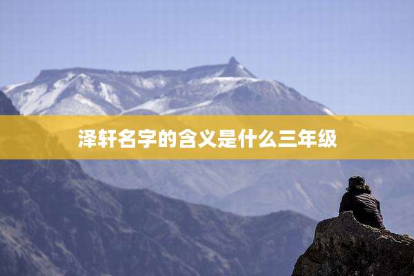 泽轩名字的含义是什么三年级