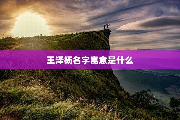 王泽杨名字寓意是什么