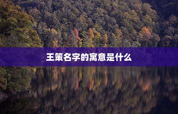 王策名字的寓意是什么