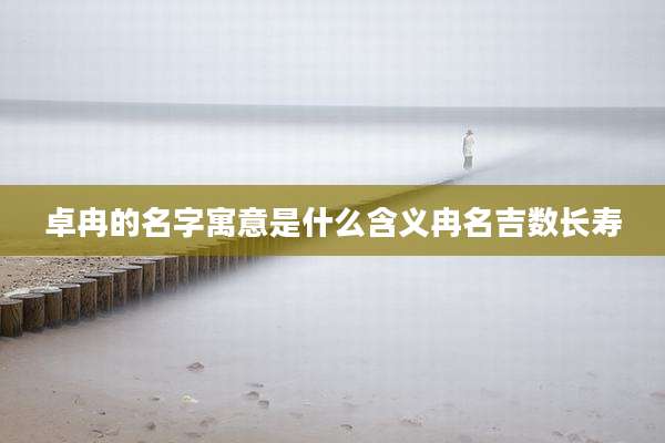 卓冉的名字寓意是什么含义冉名吉数长寿