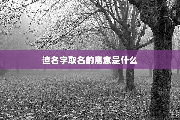 渣名字取名的寓意是什么