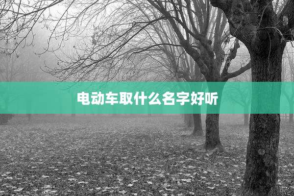 电动车取什么名字好听