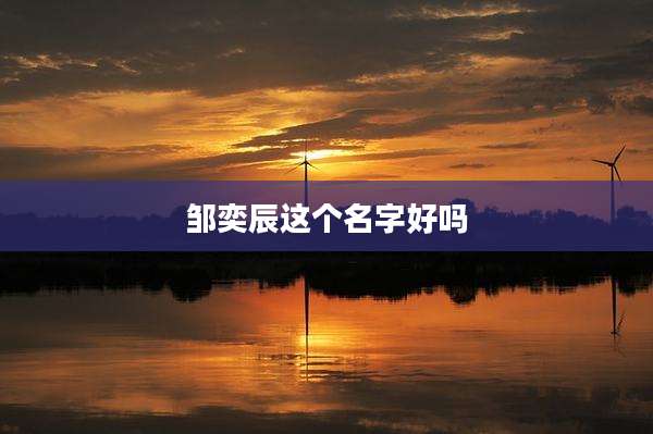 邹奕辰这个名字好吗