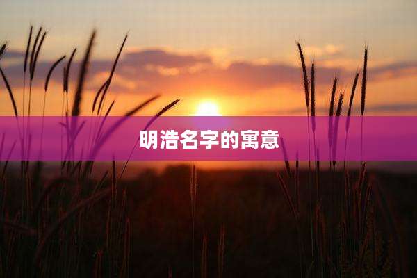 明浩名字的寓意