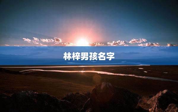 林梓男孩名字