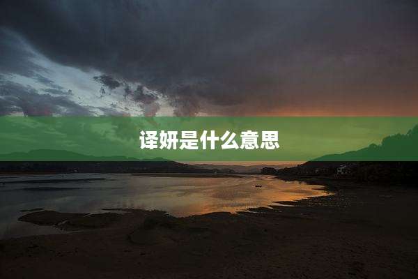 译妍是什么意思