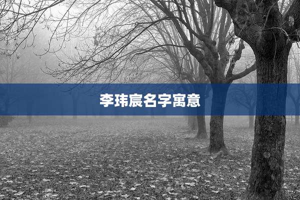 李玮宸名字寓意