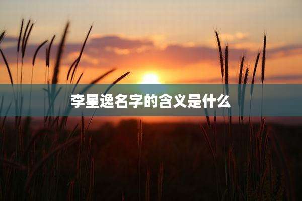 李星逸名字的含义是什么