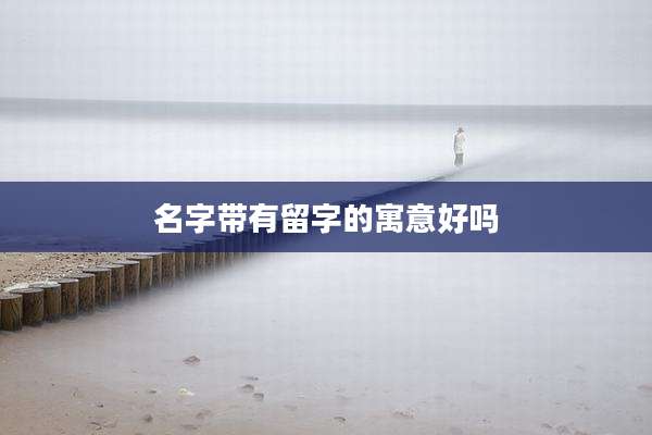 名字带有留字的寓意好吗