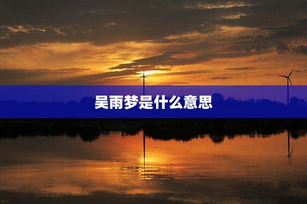 吴雨梦是什么意思