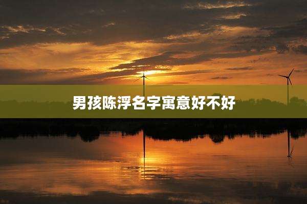 男孩陈浮名字寓意好不好