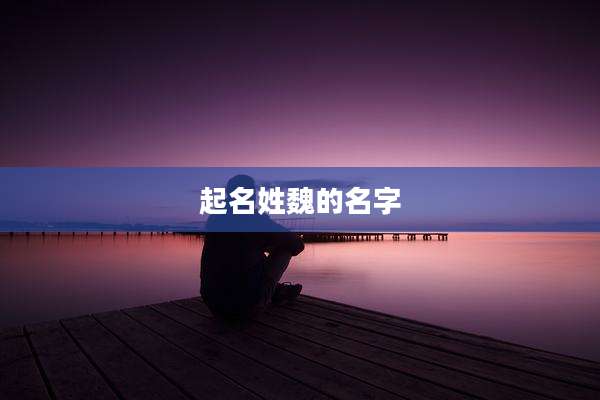 起名姓魏的名字