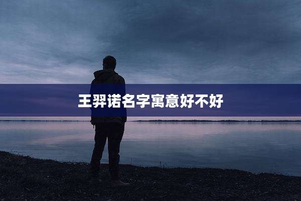 王羿诺名字寓意好不好