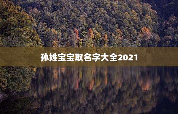 孙姓宝宝取名字大全2021