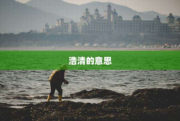 浩清的意思