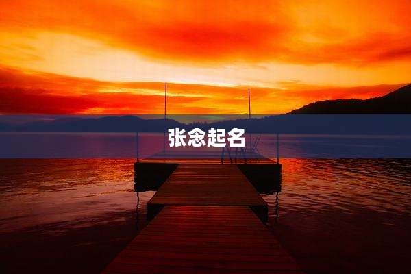 张念起名