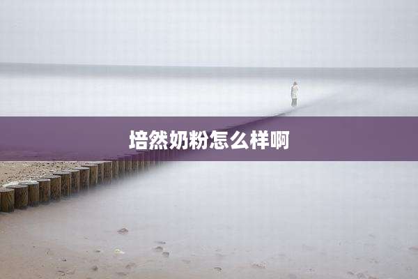 培然奶粉怎么样啊