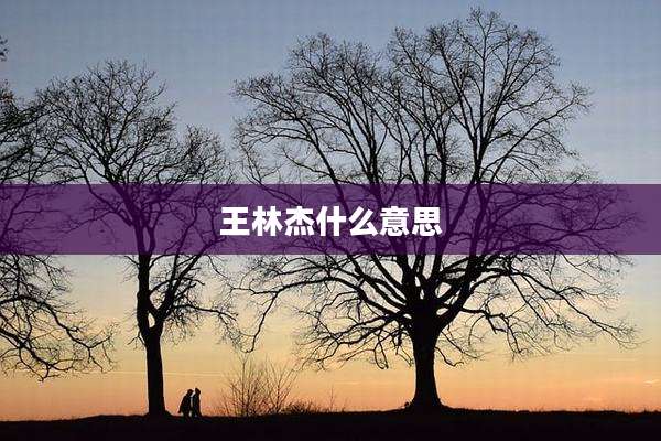 王林杰什么意思